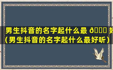 男生抖音的名字起什么最 🐝 好（男生抖音的名字起什么最好听）